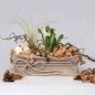 Preview: Filzband um Blumentopf gewickelt in beige