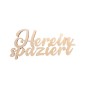 Preview: Schrifftzug aus Holz Hereinspaziert 16cm