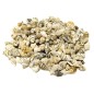 Preview: Muschelschnecken 1cm 50g