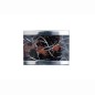 Preview: Designerperle mit Flitter in braun/schwarz
