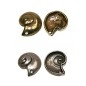 Preview: Metallanhänger Schnecke 25mm silber oder bronze