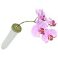 Preview: Blumenröhrchen mit Deckel und Orchidee