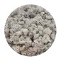 Preview: Islandmoos grau im 450g Beutel