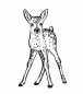 Preview: Stempel Bambi 6cm