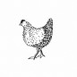 Preview: Stempel Huhn 35mm