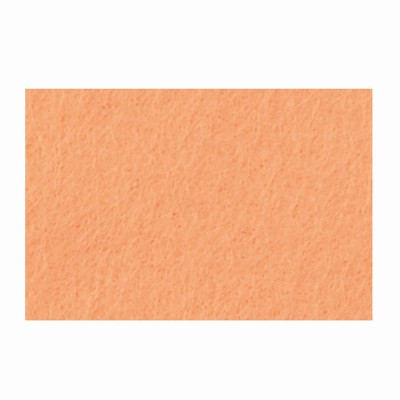 Bastelfilz 1mm hautfarben/fleischfarben A4