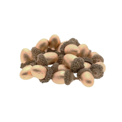 Echte Eicheln gold zum Dekorieren