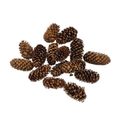Fichtenzapfen natur 6-8cm 3 Stück