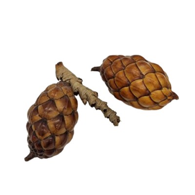 Raphia Farinifera natur 6-10cm 1 Stück