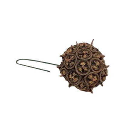 Spidergum Knobs natur 4-5cm 1 Stück