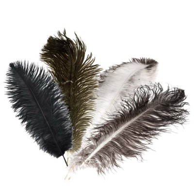 Straußenfedern natur 20-25cm 1 Stück
