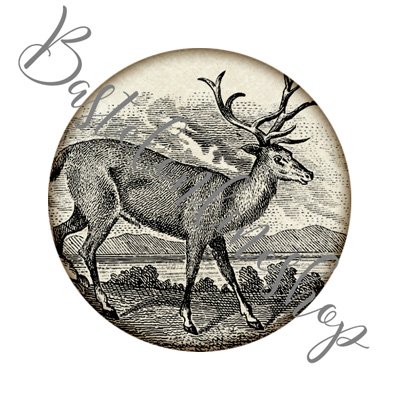 Hirschcabochon 30mm