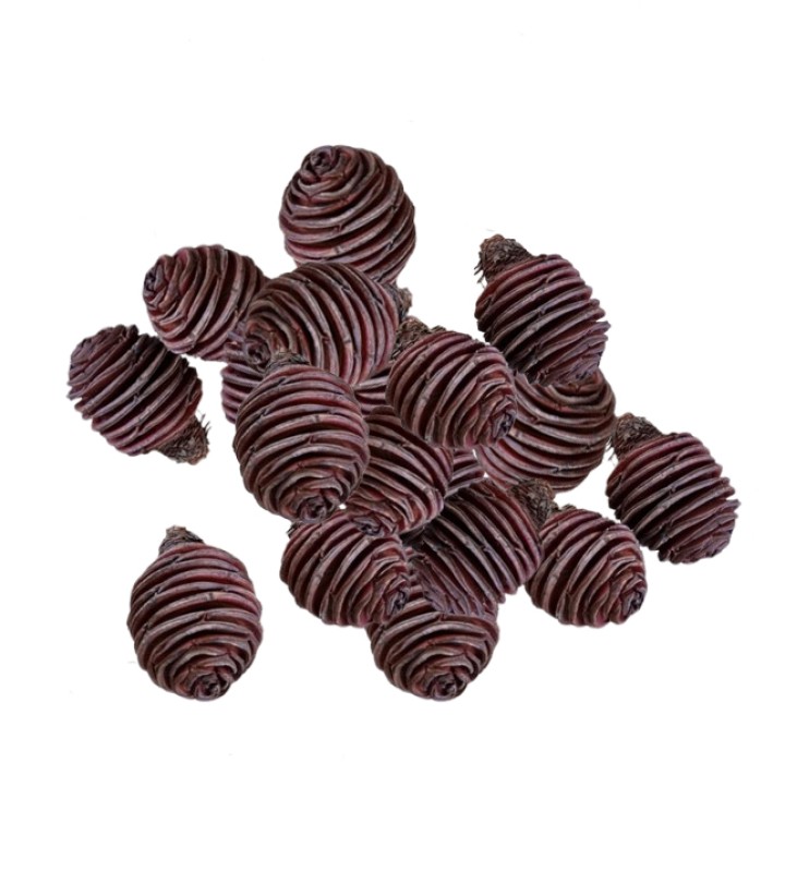 Spiral-Zapfen 5cm braun 2 Stück