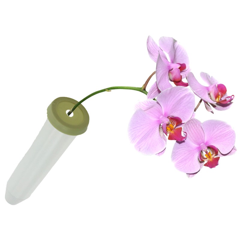 Blumenröhrchen mit Deckel und Orchidee