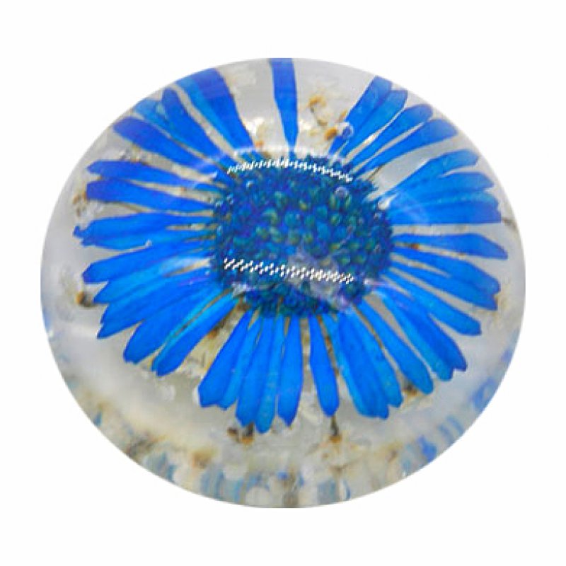 Cabochon Trockenblume blau 25mm