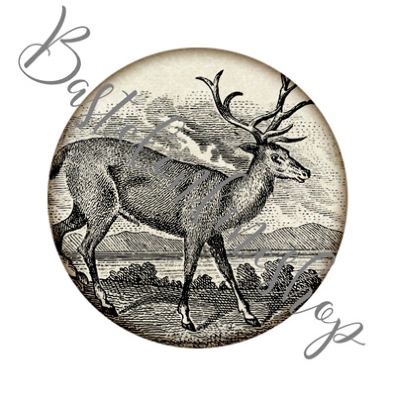 Hirschcabochon 30mm