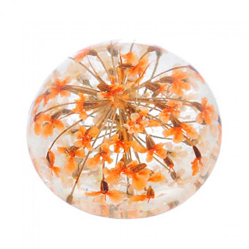 Cabochon Trockenblume Dill orange