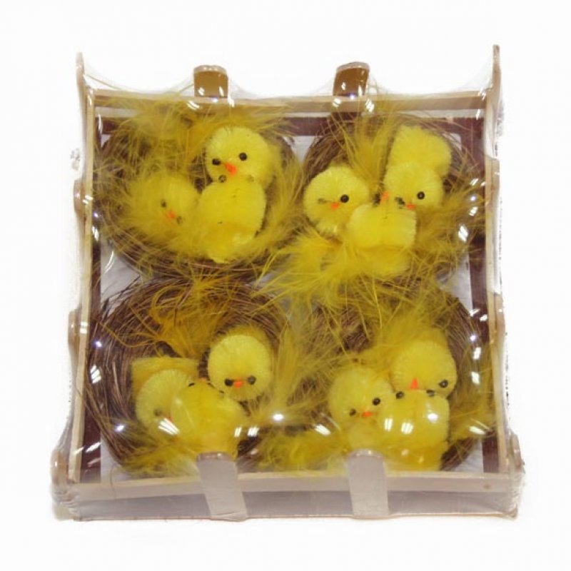 Chenilleküken 1cm im Nest