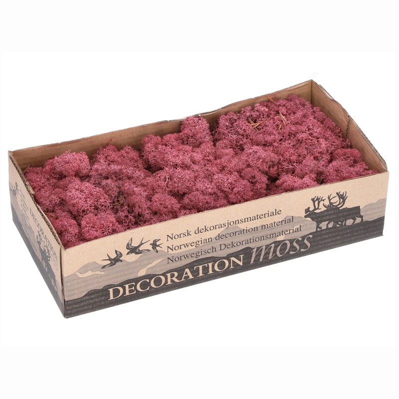 Islandmoos bordeaux im 450g Karton