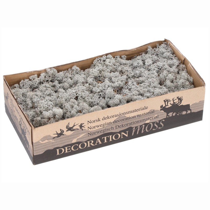 Islandmoos grau im 450g Karton