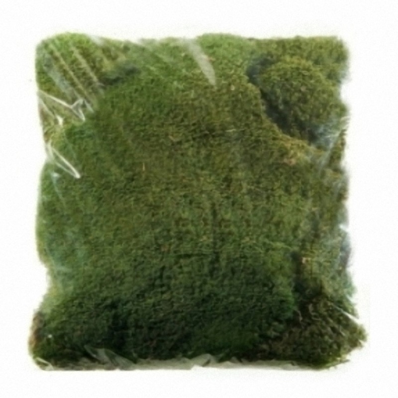 Waldmoos 500g natur grün