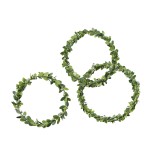 Buchsring 7-12cm grün