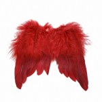 Engelsflügel 12cm rot